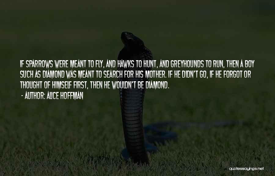 Alice Hoffman Quotes: If Sparrows Were Meant To Fly, And Hawks To Hunt, And Greyhounds To Run, Then A Boy Such As Diamond
