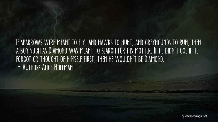 Alice Hoffman Quotes: If Sparrows Were Meant To Fly, And Hawks To Hunt, And Greyhounds To Run, Then A Boy Such As Diamond