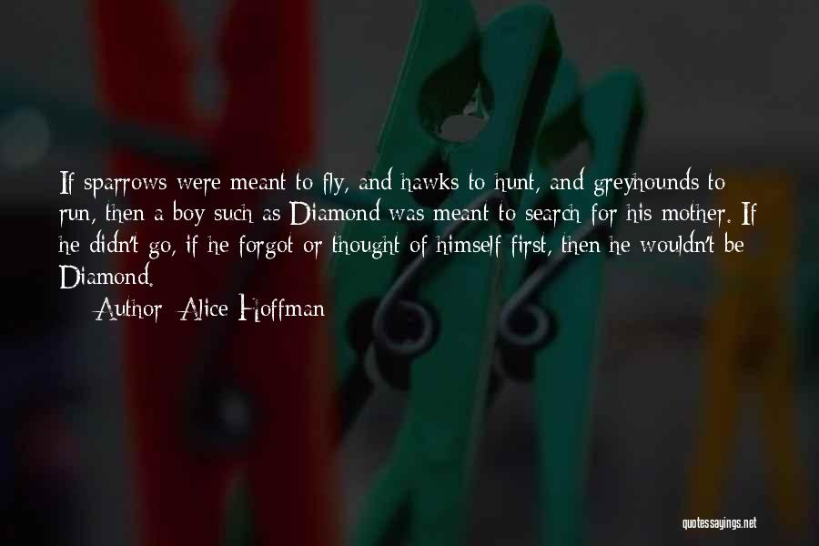 Alice Hoffman Quotes: If Sparrows Were Meant To Fly, And Hawks To Hunt, And Greyhounds To Run, Then A Boy Such As Diamond