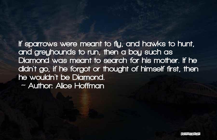 Alice Hoffman Quotes: If Sparrows Were Meant To Fly, And Hawks To Hunt, And Greyhounds To Run, Then A Boy Such As Diamond