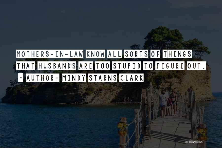 Mindy Starns Clark Quotes: Mothers-in-law Know All Sorts Of Things That Husbands Are Too Stupid To Figure Out.