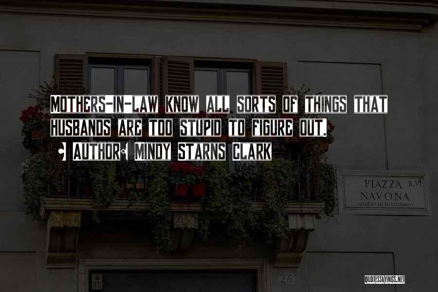 Mindy Starns Clark Quotes: Mothers-in-law Know All Sorts Of Things That Husbands Are Too Stupid To Figure Out.
