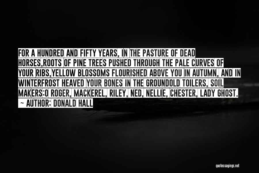 Donald Hall Quotes: For A Hundred And Fifty Years, In The Pasture Of Dead Horses,roots Of Pine Trees Pushed Through The Pale Curves