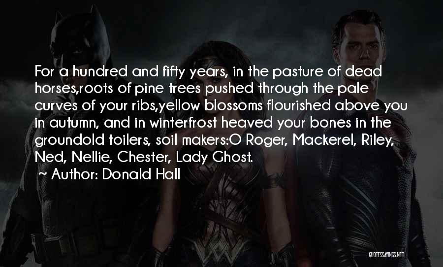 Donald Hall Quotes: For A Hundred And Fifty Years, In The Pasture Of Dead Horses,roots Of Pine Trees Pushed Through The Pale Curves