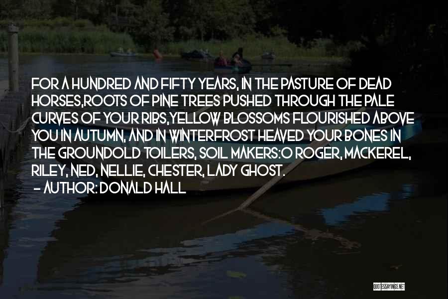 Donald Hall Quotes: For A Hundred And Fifty Years, In The Pasture Of Dead Horses,roots Of Pine Trees Pushed Through The Pale Curves