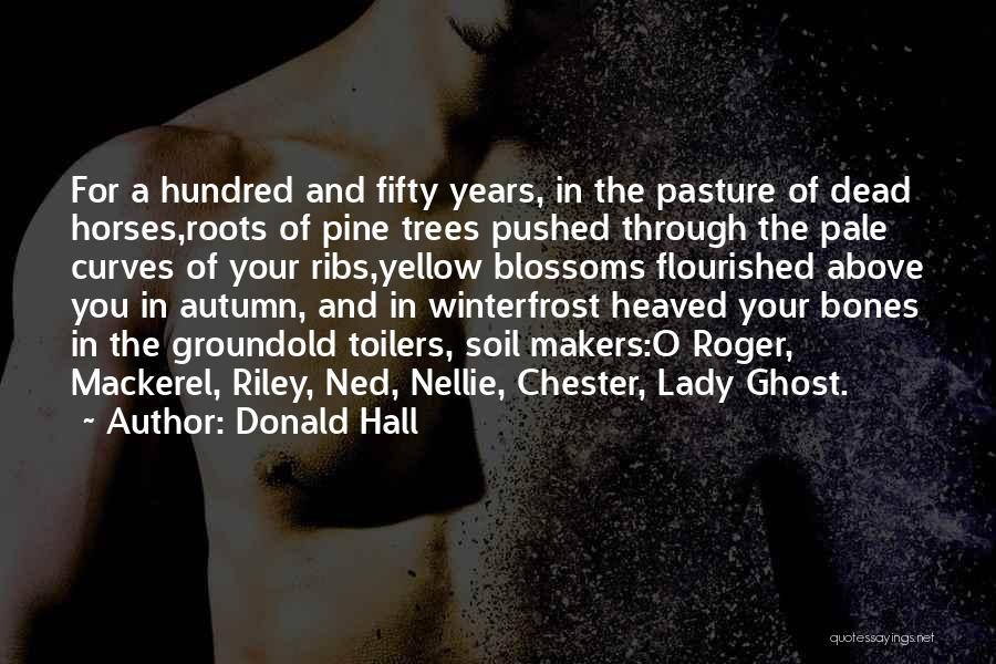 Donald Hall Quotes: For A Hundred And Fifty Years, In The Pasture Of Dead Horses,roots Of Pine Trees Pushed Through The Pale Curves