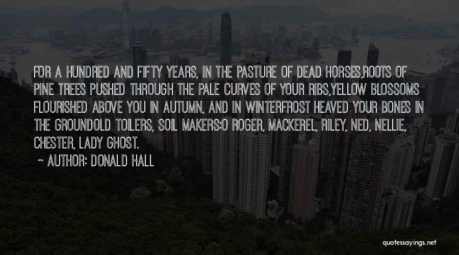 Donald Hall Quotes: For A Hundred And Fifty Years, In The Pasture Of Dead Horses,roots Of Pine Trees Pushed Through The Pale Curves