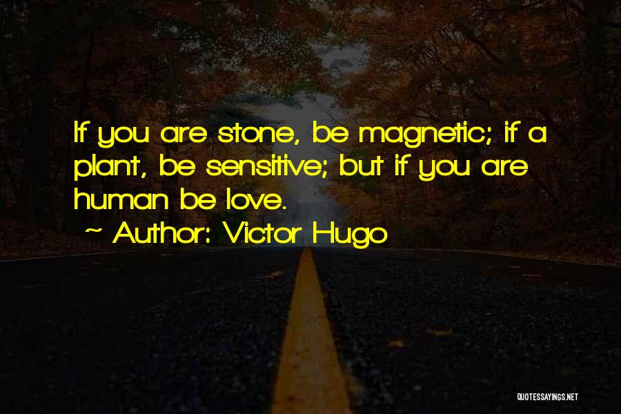 Victor Hugo Quotes: If You Are Stone, Be Magnetic; If A Plant, Be Sensitive; But If You Are Human Be Love.
