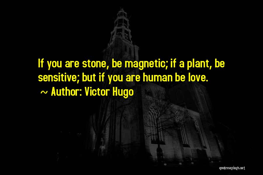 Victor Hugo Quotes: If You Are Stone, Be Magnetic; If A Plant, Be Sensitive; But If You Are Human Be Love.