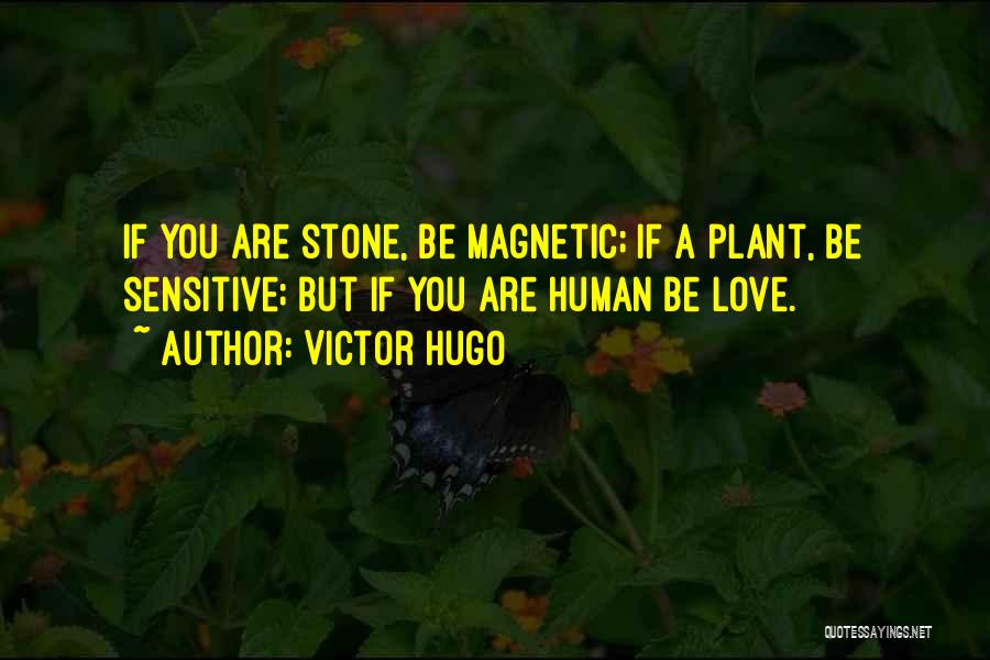 Victor Hugo Quotes: If You Are Stone, Be Magnetic; If A Plant, Be Sensitive; But If You Are Human Be Love.