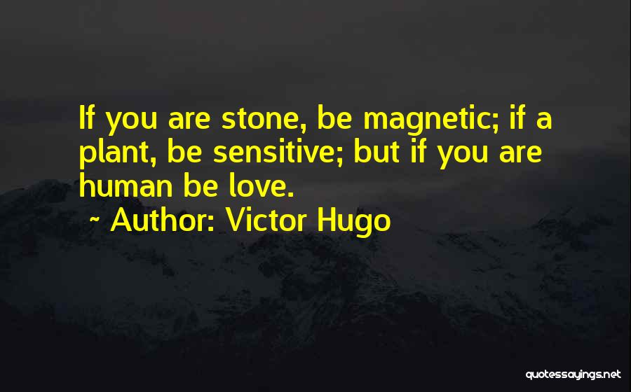 Victor Hugo Quotes: If You Are Stone, Be Magnetic; If A Plant, Be Sensitive; But If You Are Human Be Love.