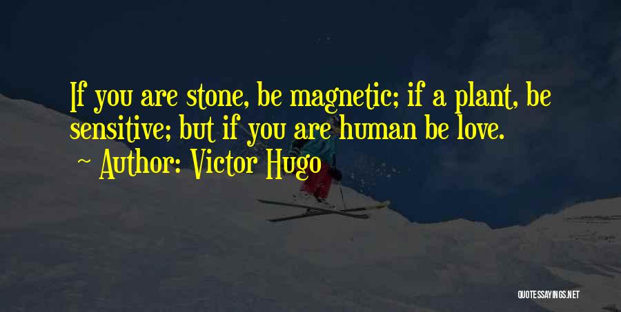 Victor Hugo Quotes: If You Are Stone, Be Magnetic; If A Plant, Be Sensitive; But If You Are Human Be Love.