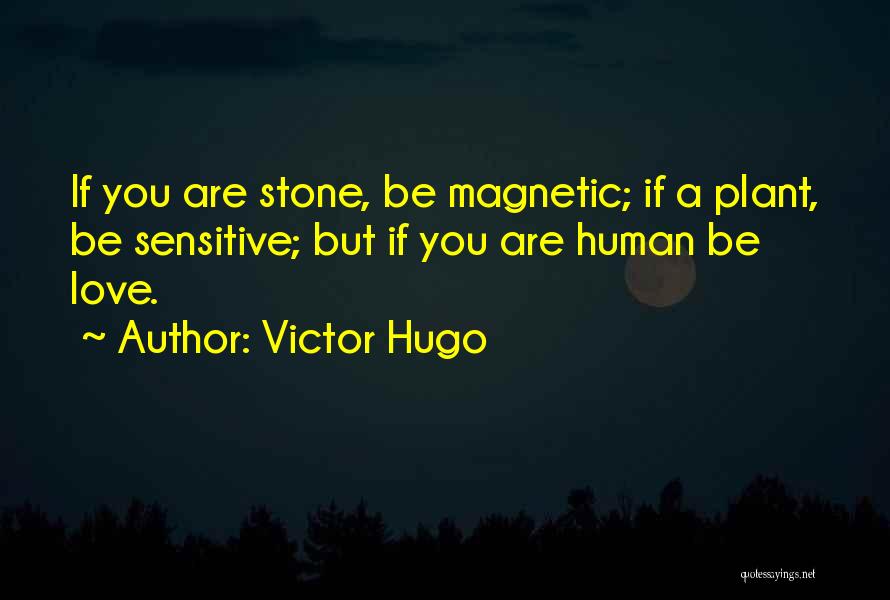 Victor Hugo Quotes: If You Are Stone, Be Magnetic; If A Plant, Be Sensitive; But If You Are Human Be Love.
