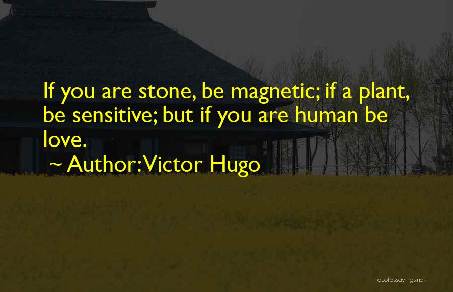 Victor Hugo Quotes: If You Are Stone, Be Magnetic; If A Plant, Be Sensitive; But If You Are Human Be Love.