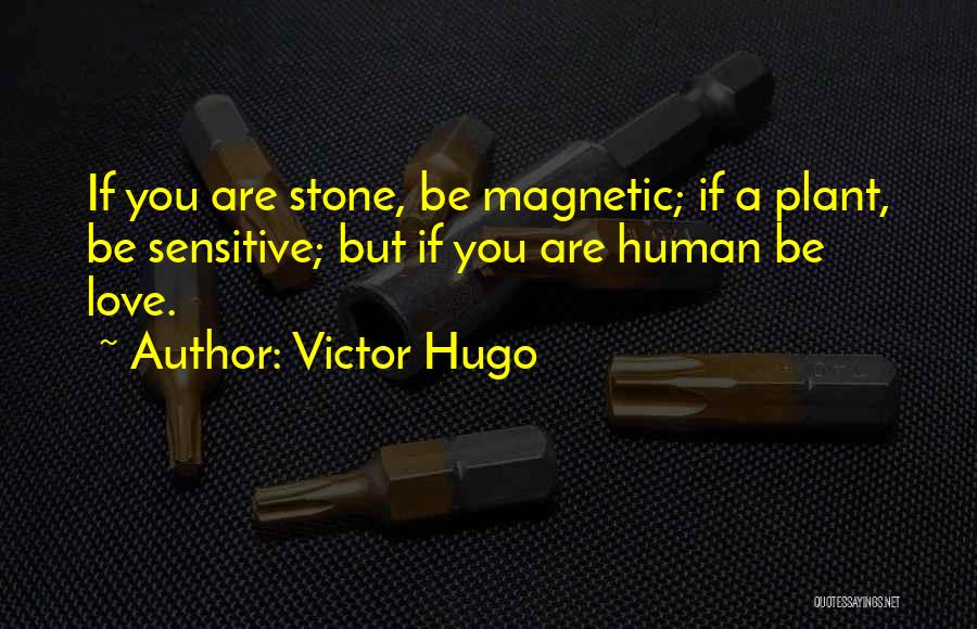 Victor Hugo Quotes: If You Are Stone, Be Magnetic; If A Plant, Be Sensitive; But If You Are Human Be Love.
