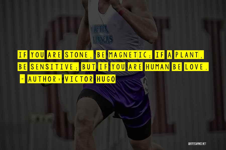 Victor Hugo Quotes: If You Are Stone, Be Magnetic; If A Plant, Be Sensitive; But If You Are Human Be Love.
