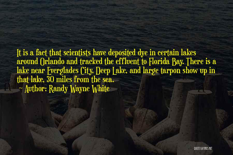 Randy Wayne White Quotes: It Is A Fact That Scientists Have Deposited Dye In Certain Lakes Around Orlando And Tracked The Effluent To Florida