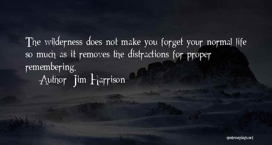 Jim Harrison Quotes: The Wilderness Does Not Make You Forget Your Normal Life So Much As It Removes The Distractions For Proper Remembering.