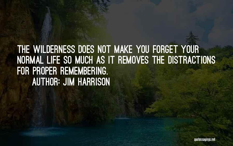 Jim Harrison Quotes: The Wilderness Does Not Make You Forget Your Normal Life So Much As It Removes The Distractions For Proper Remembering.