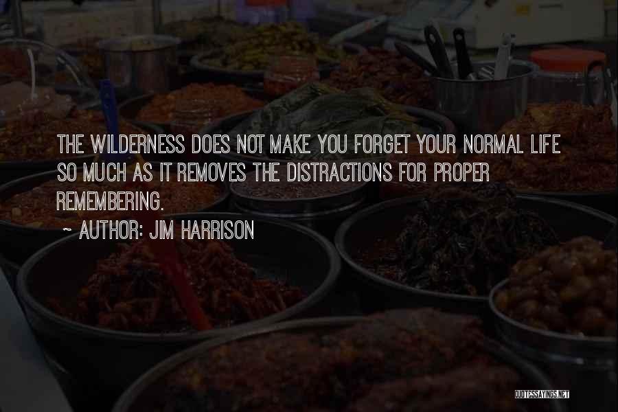 Jim Harrison Quotes: The Wilderness Does Not Make You Forget Your Normal Life So Much As It Removes The Distractions For Proper Remembering.