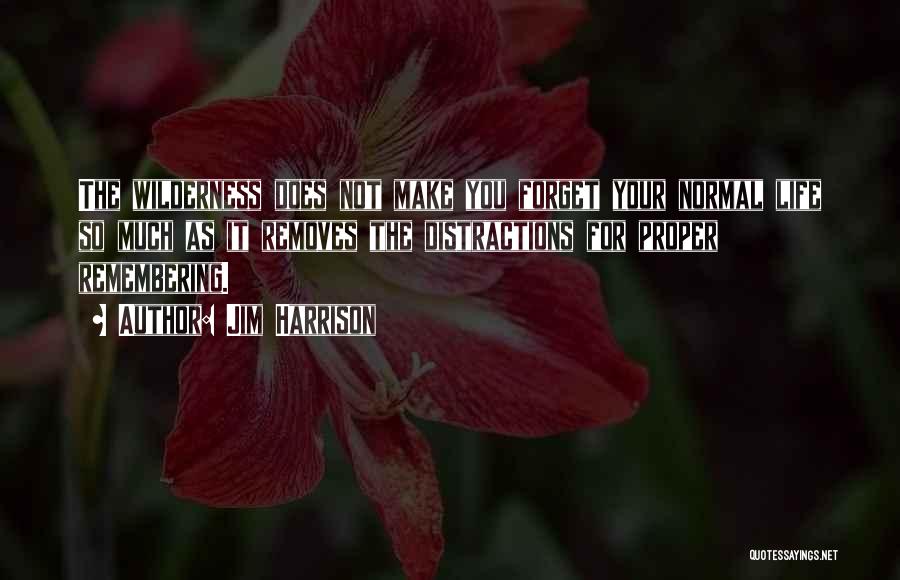 Jim Harrison Quotes: The Wilderness Does Not Make You Forget Your Normal Life So Much As It Removes The Distractions For Proper Remembering.