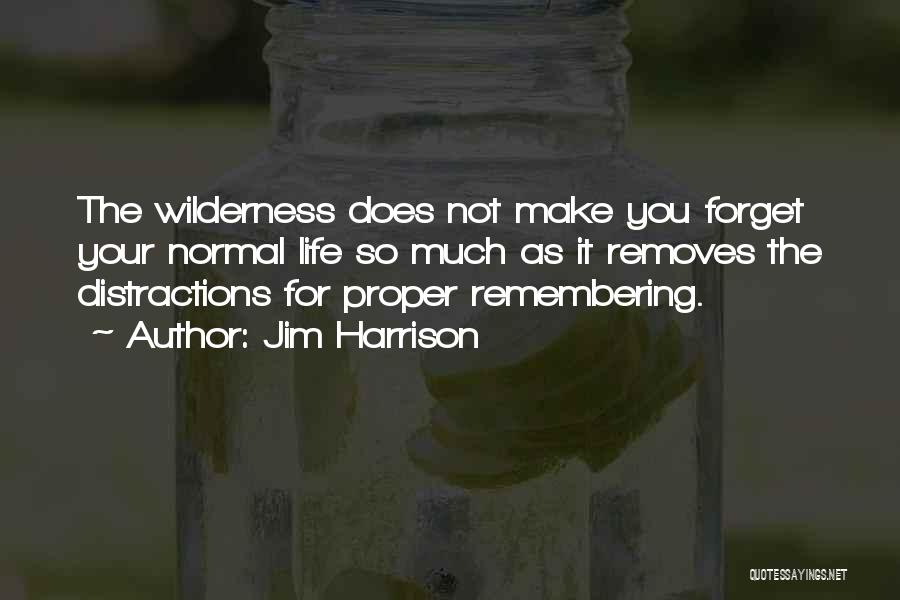 Jim Harrison Quotes: The Wilderness Does Not Make You Forget Your Normal Life So Much As It Removes The Distractions For Proper Remembering.