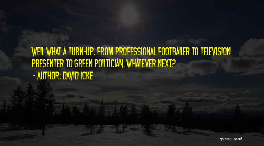 David Icke Quotes: Well What A Turn-up. From Professional Footballer To Television Presenter To Green Politician. Whatever Next?