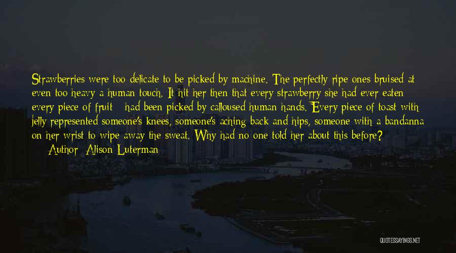 Alison Luterman Quotes: Strawberries Were Too Delicate To Be Picked By Machine. The Perfectly Ripe Ones Bruised At Even Too Heavy A Human