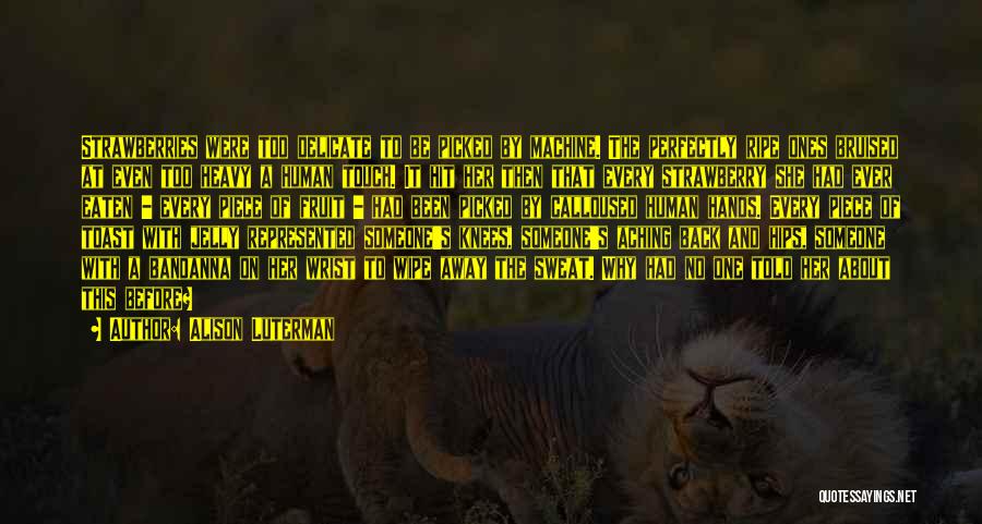 Alison Luterman Quotes: Strawberries Were Too Delicate To Be Picked By Machine. The Perfectly Ripe Ones Bruised At Even Too Heavy A Human