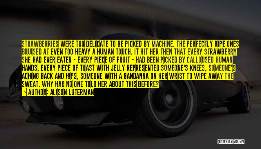 Alison Luterman Quotes: Strawberries Were Too Delicate To Be Picked By Machine. The Perfectly Ripe Ones Bruised At Even Too Heavy A Human