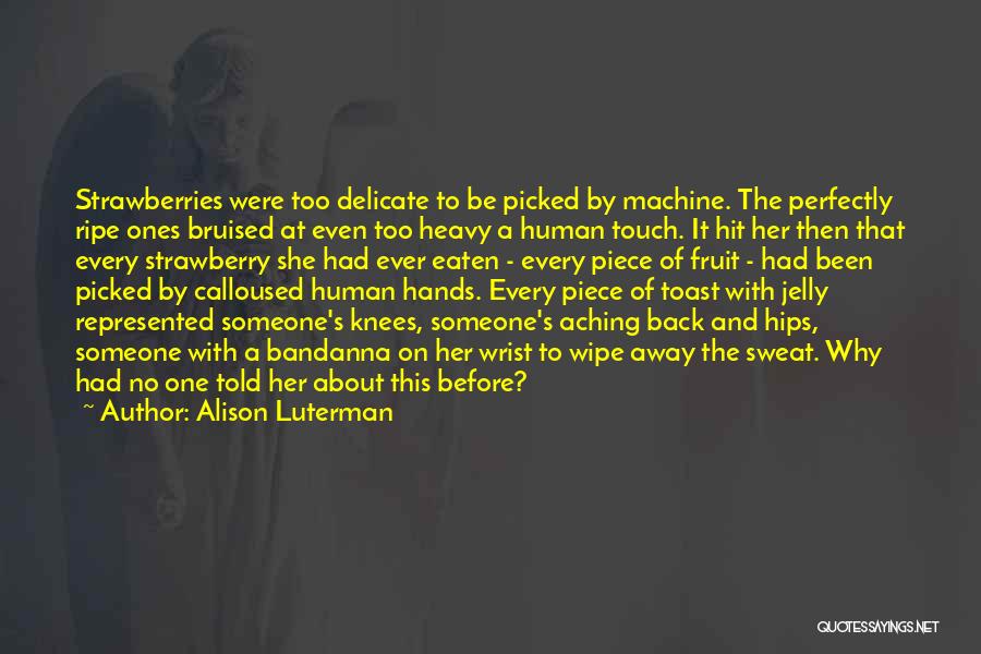 Alison Luterman Quotes: Strawberries Were Too Delicate To Be Picked By Machine. The Perfectly Ripe Ones Bruised At Even Too Heavy A Human