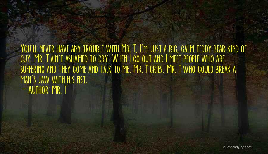 Mr. T Quotes: You'll Never Have Any Trouble With Mr. T, I'm Just A Big, Calm Teddy Bear Kind Of Guy. Mr. T