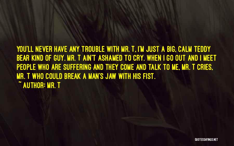 Mr. T Quotes: You'll Never Have Any Trouble With Mr. T, I'm Just A Big, Calm Teddy Bear Kind Of Guy. Mr. T