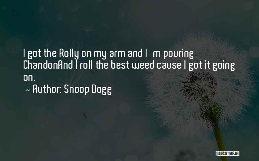 Snoop Dogg Quotes: I Got The Rolly On My Arm And I'm Pouring Chandonand I Roll The Best Weed Cause I Got It