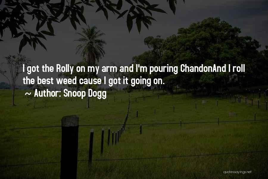 Snoop Dogg Quotes: I Got The Rolly On My Arm And I'm Pouring Chandonand I Roll The Best Weed Cause I Got It