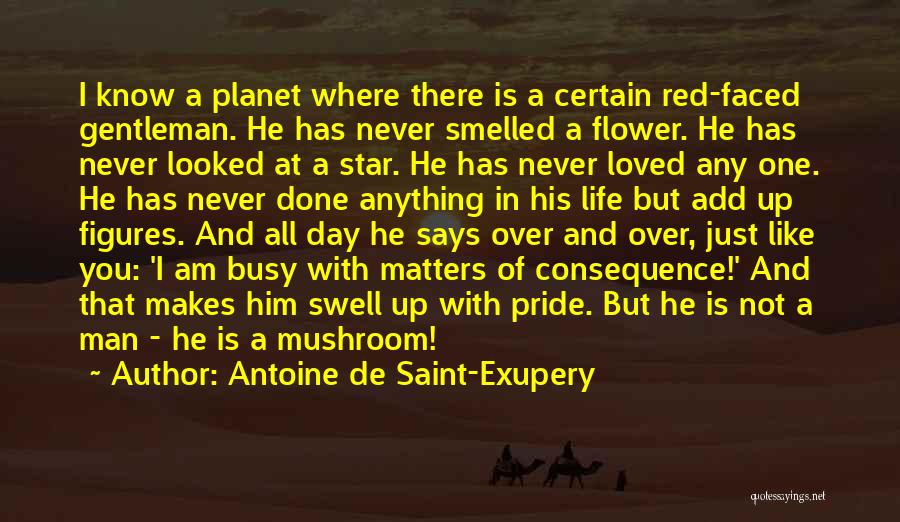 Antoine De Saint-Exupery Quotes: I Know A Planet Where There Is A Certain Red-faced Gentleman. He Has Never Smelled A Flower. He Has Never