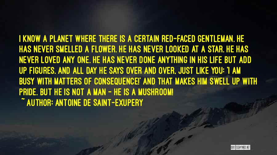 Antoine De Saint-Exupery Quotes: I Know A Planet Where There Is A Certain Red-faced Gentleman. He Has Never Smelled A Flower. He Has Never