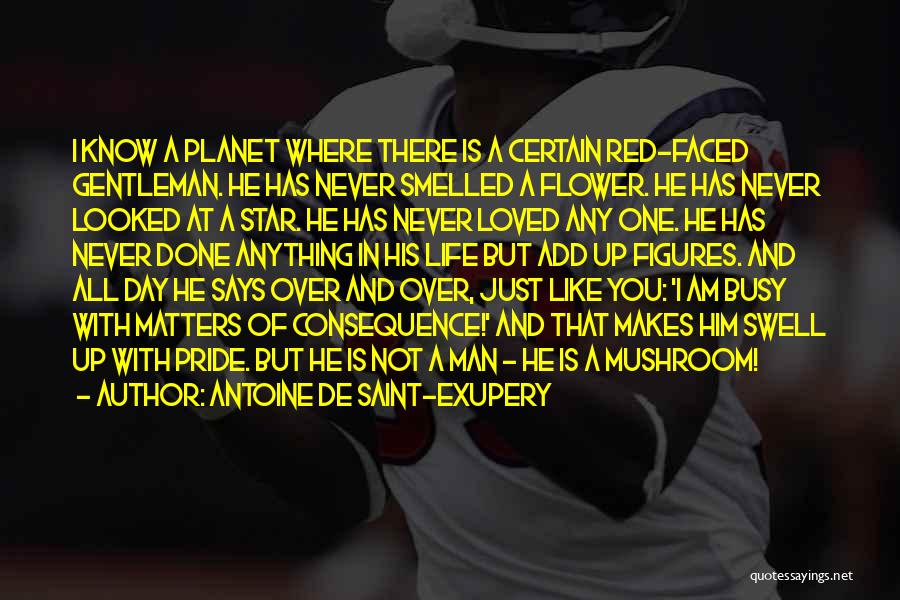 Antoine De Saint-Exupery Quotes: I Know A Planet Where There Is A Certain Red-faced Gentleman. He Has Never Smelled A Flower. He Has Never