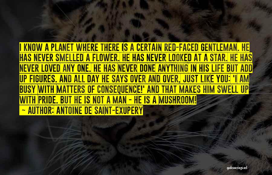 Antoine De Saint-Exupery Quotes: I Know A Planet Where There Is A Certain Red-faced Gentleman. He Has Never Smelled A Flower. He Has Never