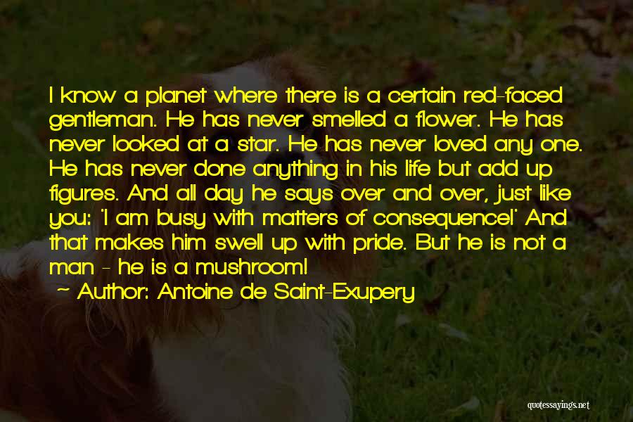 Antoine De Saint-Exupery Quotes: I Know A Planet Where There Is A Certain Red-faced Gentleman. He Has Never Smelled A Flower. He Has Never