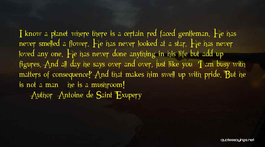 Antoine De Saint-Exupery Quotes: I Know A Planet Where There Is A Certain Red-faced Gentleman. He Has Never Smelled A Flower. He Has Never