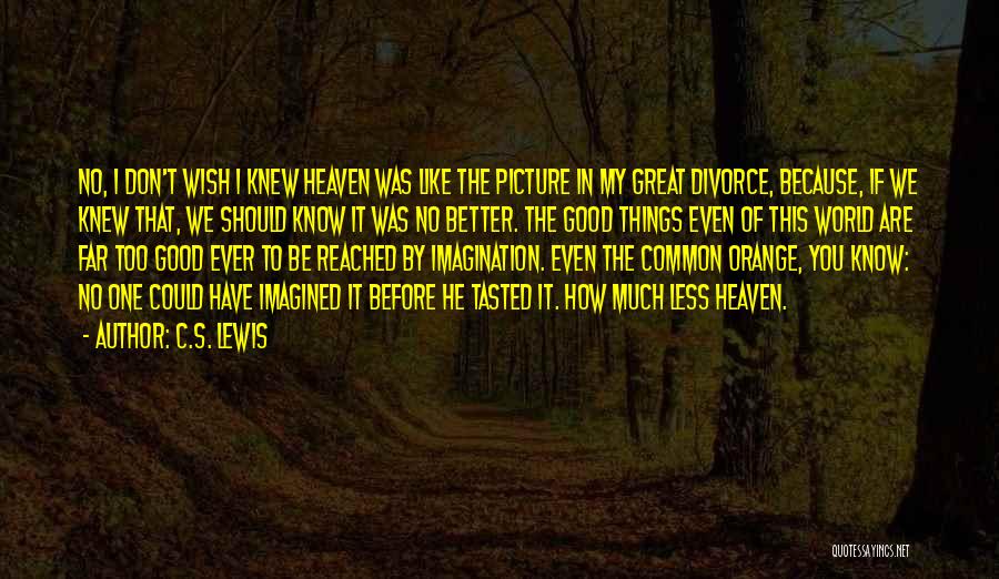 C.S. Lewis Quotes: No, I Don't Wish I Knew Heaven Was Like The Picture In My Great Divorce, Because, If We Knew That,