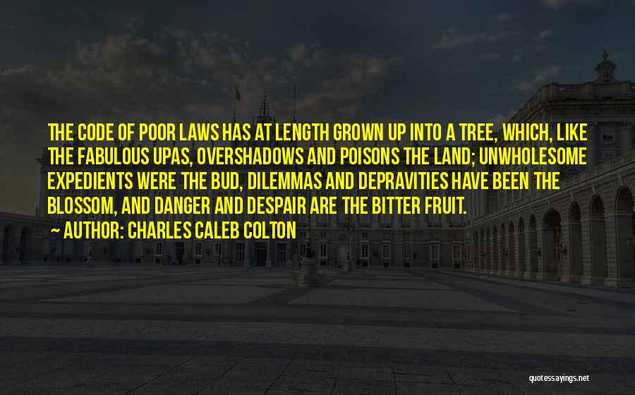 Charles Caleb Colton Quotes: The Code Of Poor Laws Has At Length Grown Up Into A Tree, Which, Like The Fabulous Upas, Overshadows And