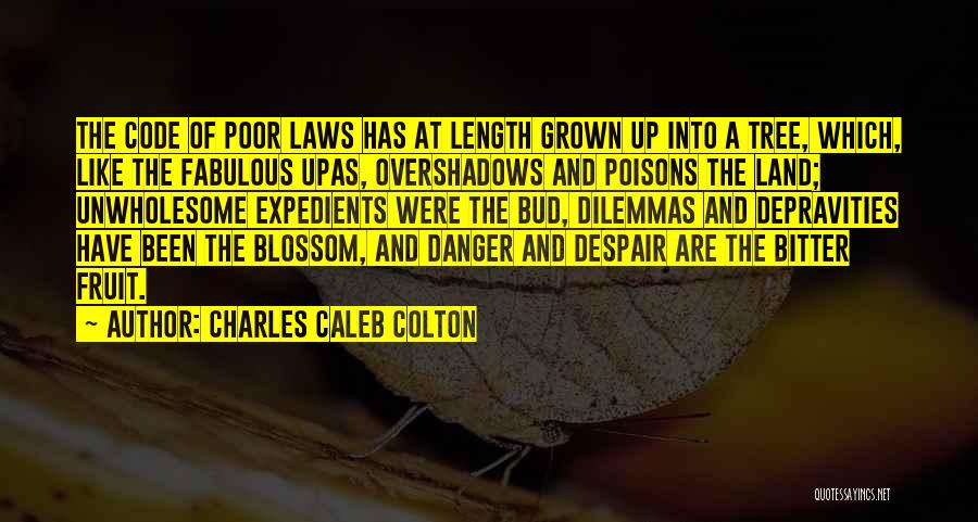 Charles Caleb Colton Quotes: The Code Of Poor Laws Has At Length Grown Up Into A Tree, Which, Like The Fabulous Upas, Overshadows And