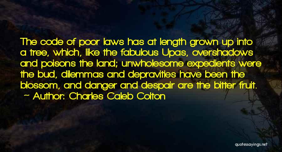 Charles Caleb Colton Quotes: The Code Of Poor Laws Has At Length Grown Up Into A Tree, Which, Like The Fabulous Upas, Overshadows And