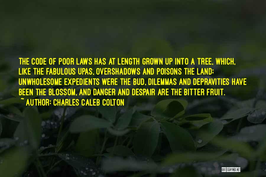 Charles Caleb Colton Quotes: The Code Of Poor Laws Has At Length Grown Up Into A Tree, Which, Like The Fabulous Upas, Overshadows And