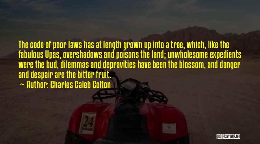 Charles Caleb Colton Quotes: The Code Of Poor Laws Has At Length Grown Up Into A Tree, Which, Like The Fabulous Upas, Overshadows And