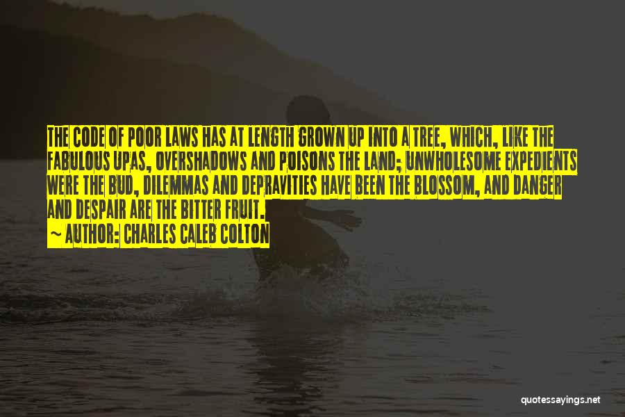 Charles Caleb Colton Quotes: The Code Of Poor Laws Has At Length Grown Up Into A Tree, Which, Like The Fabulous Upas, Overshadows And