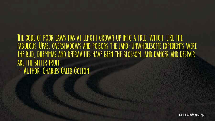 Charles Caleb Colton Quotes: The Code Of Poor Laws Has At Length Grown Up Into A Tree, Which, Like The Fabulous Upas, Overshadows And