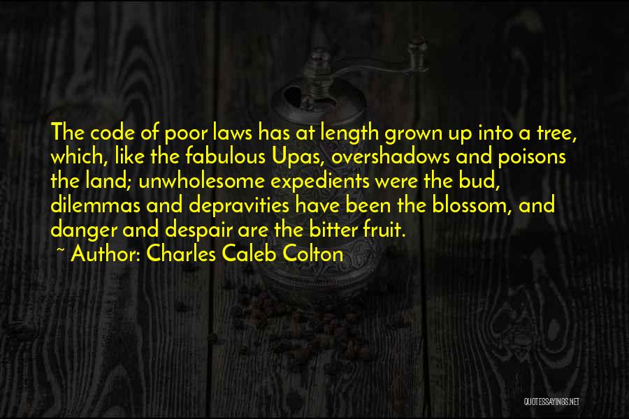 Charles Caleb Colton Quotes: The Code Of Poor Laws Has At Length Grown Up Into A Tree, Which, Like The Fabulous Upas, Overshadows And